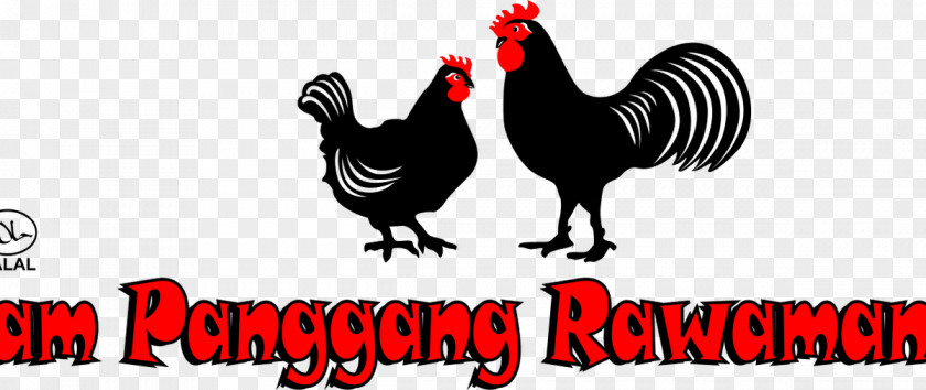 Ayam Bakar Rooster Logo Chicken As Food Beak Font PNG