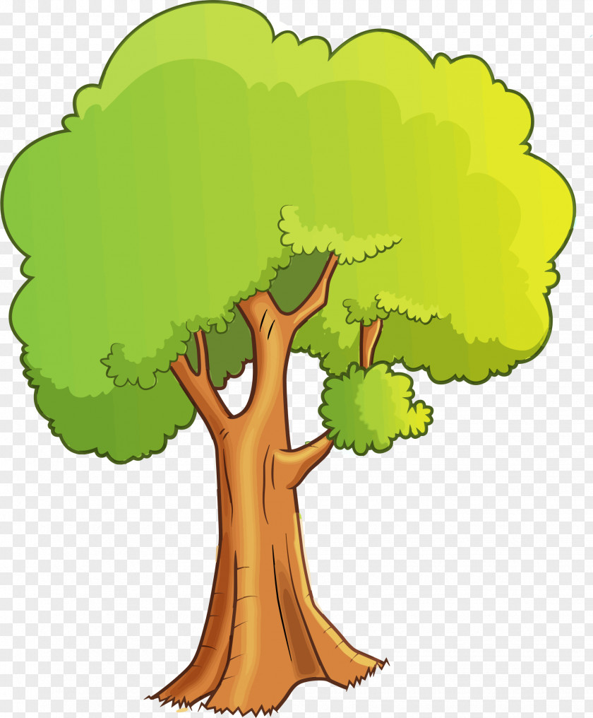 Cartoon Tree Drawing Clip Art PNG