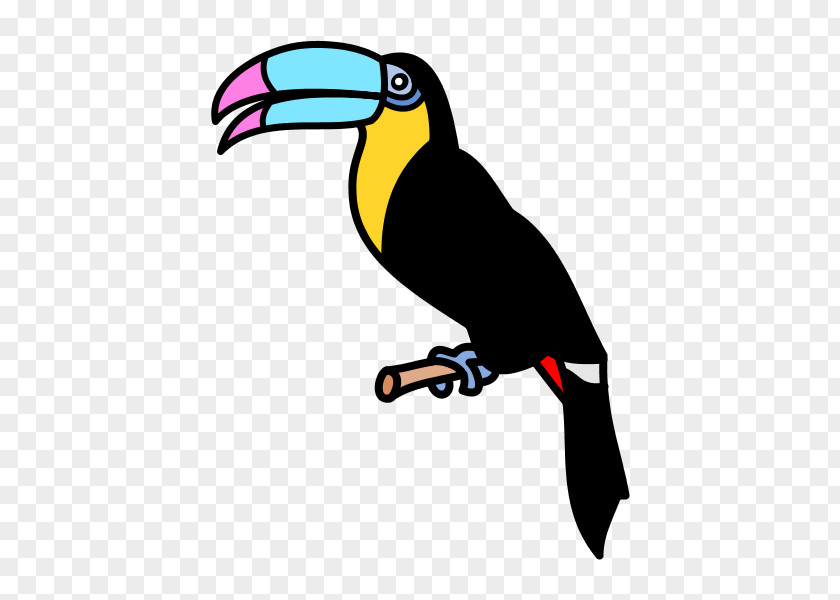 Due Toucan Beak Macaw Clip Art PNG