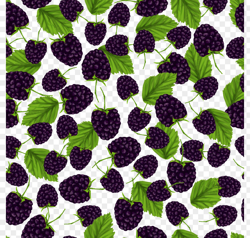 Fresh Blackberry Seamless Background Frutti Di Bosco BlackBerry Pattern PNG
