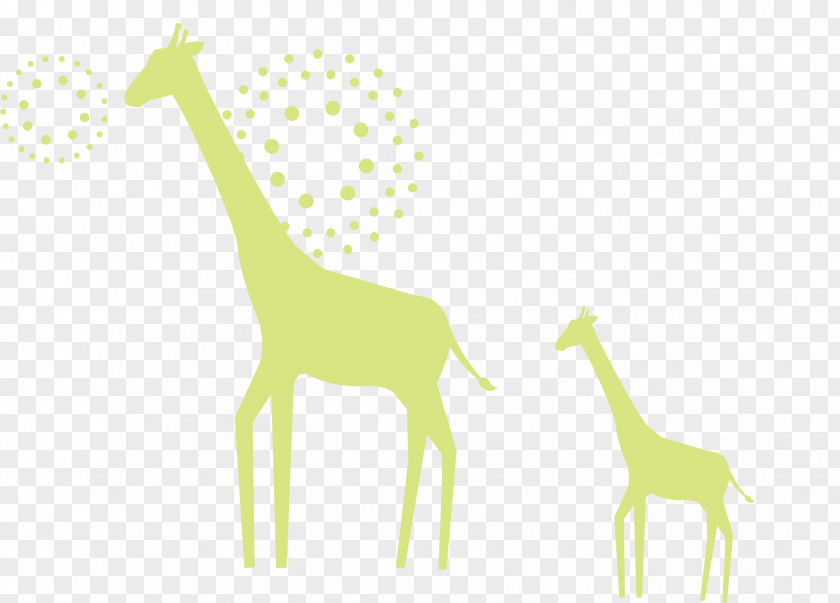 Giraffe Deer Illustration PNG