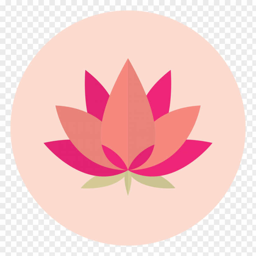 Lotus Leaf Petal Nelumbo Nucifera Flower Aquatic Plants Symbol PNG