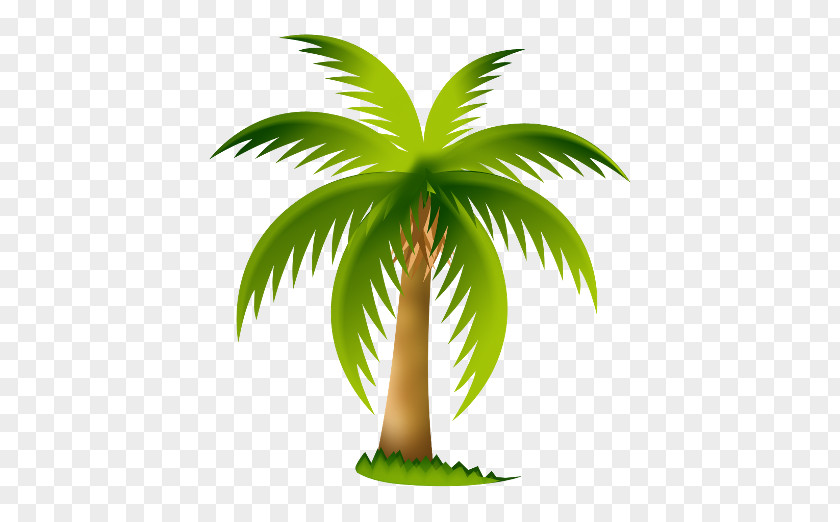 Overlooking The Coconut Tree Arecaceae Clip Art PNG