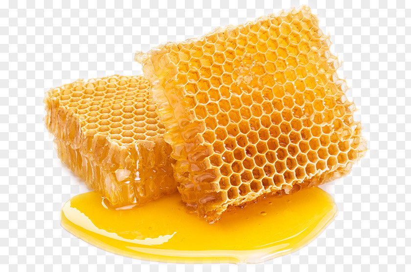 Pure Natural Honeycomb Bee Comb Honey Sugar PNG