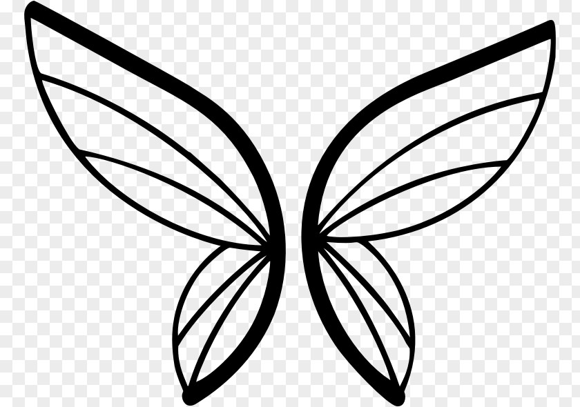 Butterfly Insect Silhouette Clip Art PNG