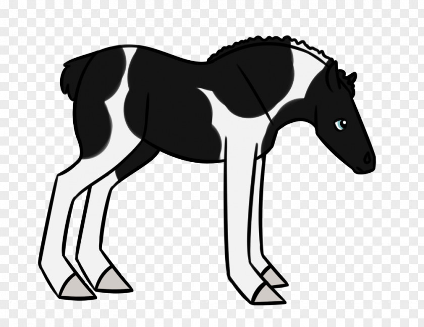 Donkey Mule Foal Stallion Mustang PNG