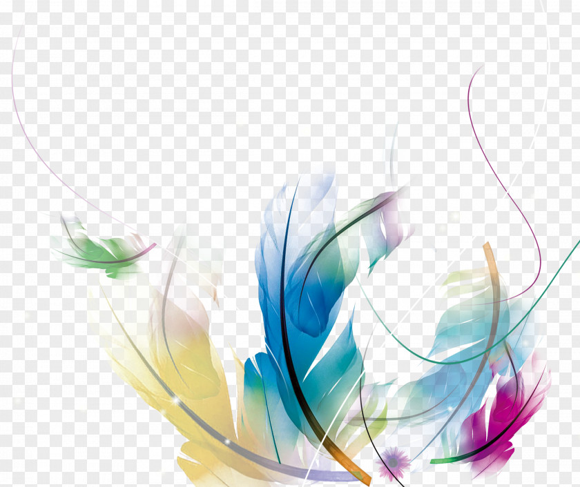 Feather Poster Wallpaper PNG