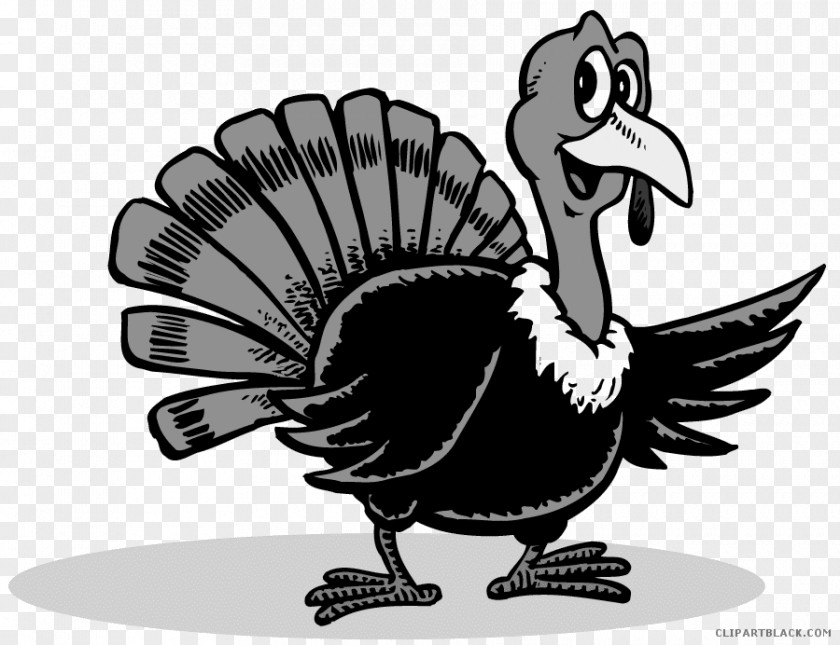 Thanksgiving Domesticated Turkey Meat Clip Art PNG