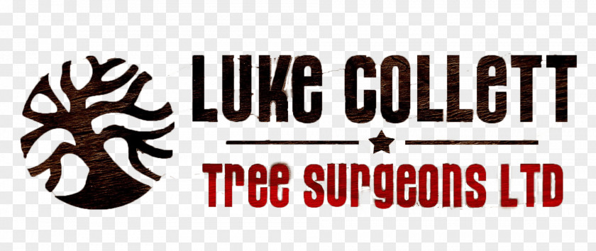 Tree Luke Collett Surgeons Ltd Stump Arborist Grinder PNG