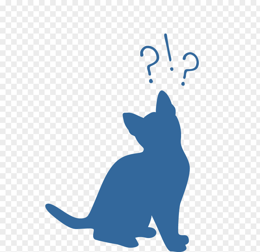 Cat Whiskers Blog Veterinarian Dog PNG