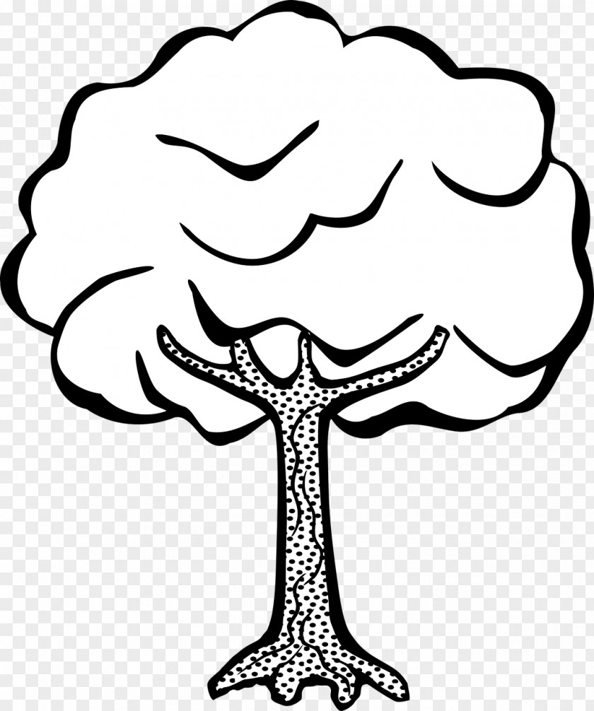 Coconut Tree Drawing Line Art Clip PNG