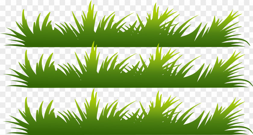 Green Little Grass Hand Painted Elements PNG