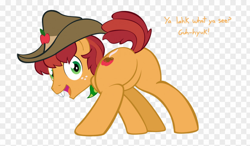 Horse Cat Cartoon Desktop Wallpaper PNG