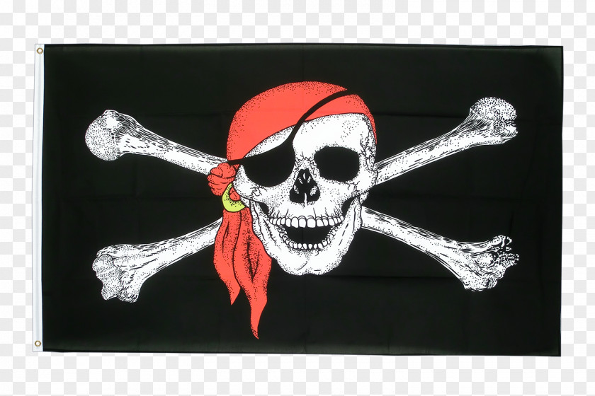 Pirates Jolly Roger Skull And Crossbones Flag & Bones Piracy PNG