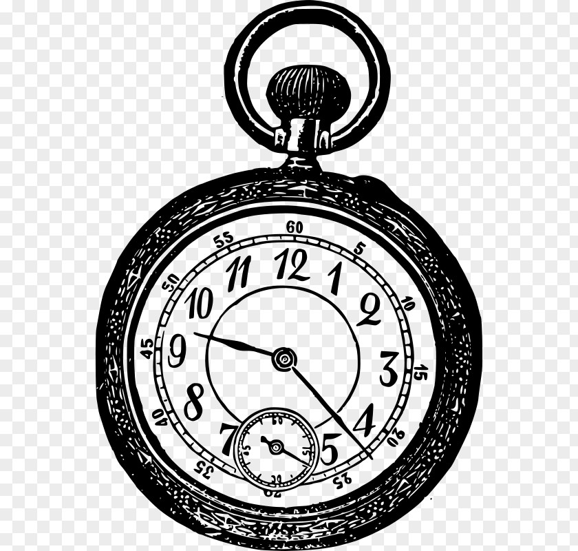 Clock White Rabbit Pocket Watch Clip Art PNG