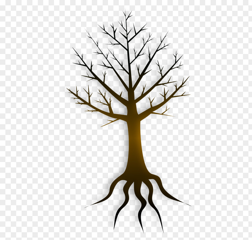 Clump Cliparts Tree Pixabay Root Illustration PNG