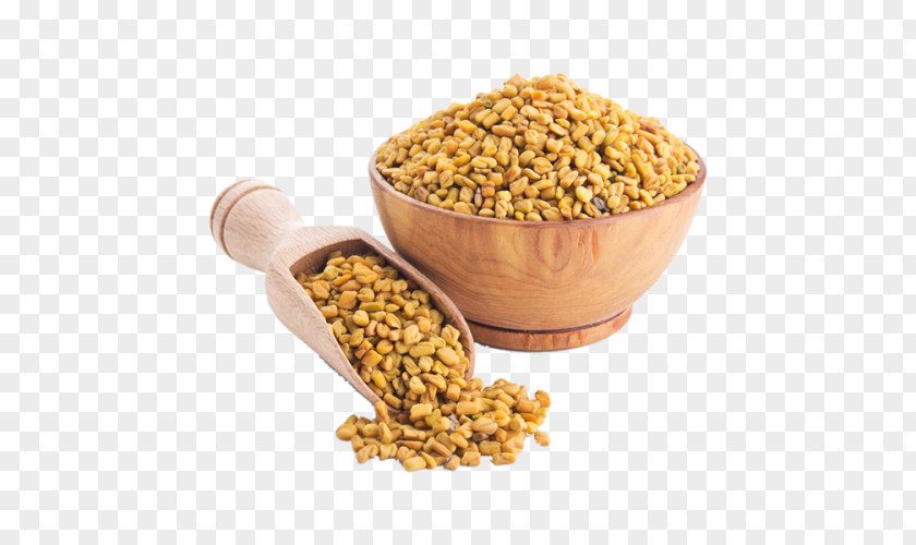 Fenugreek Coriander Spice Indian Cuisine Herb PNG