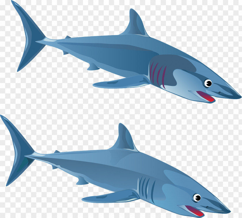 Predator Shark Great White Blue Clip Art PNG