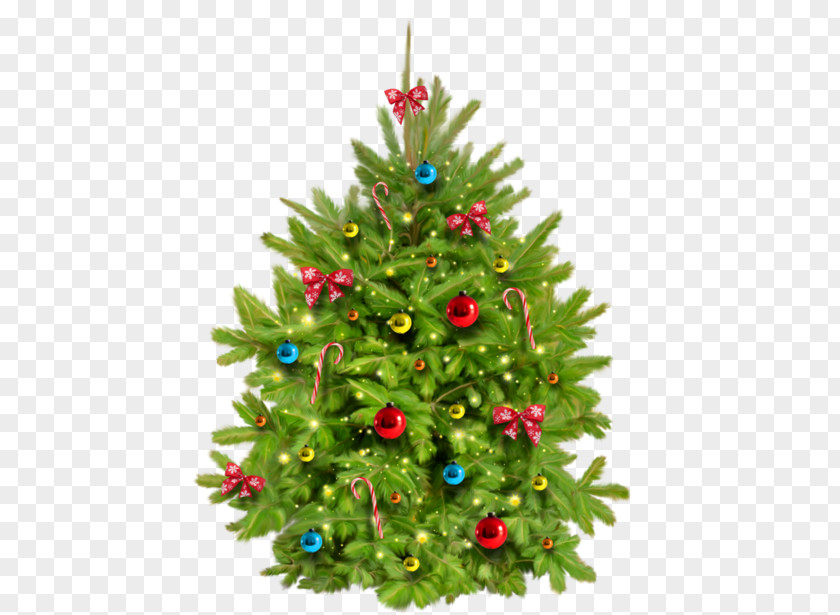 Santa Claus Christmas Lights Tree Poetry PNG