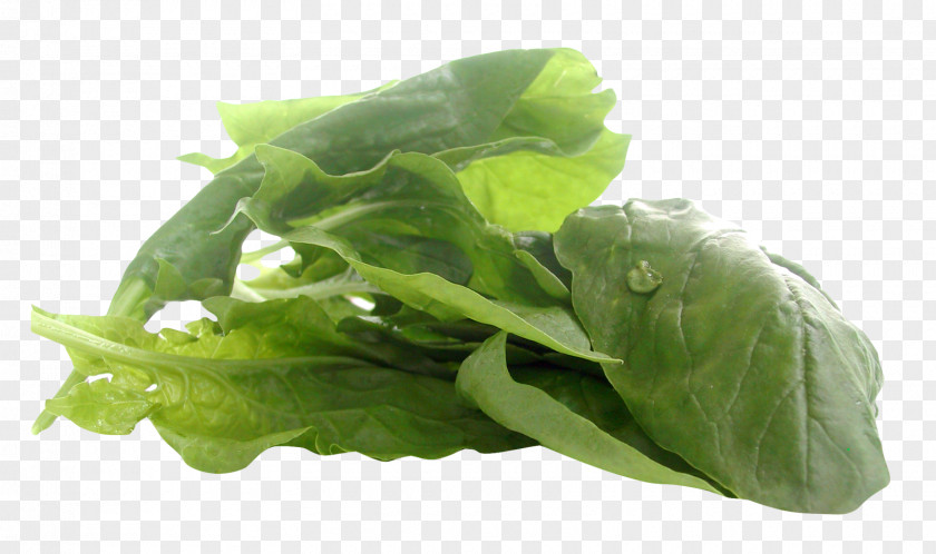 Spinach Juice Romaine Lettuce Vegetarian Cuisine Food PNG