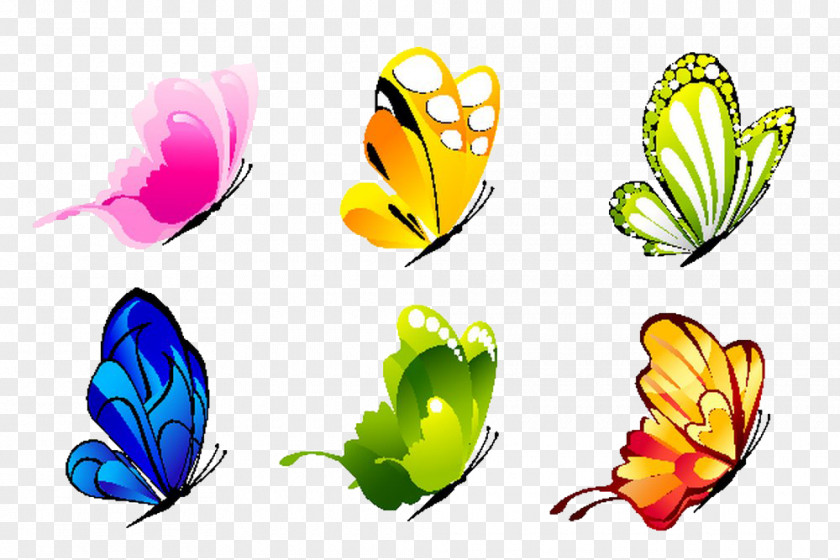 Butterfly Tail Paper Sticker Wall Decal PNG