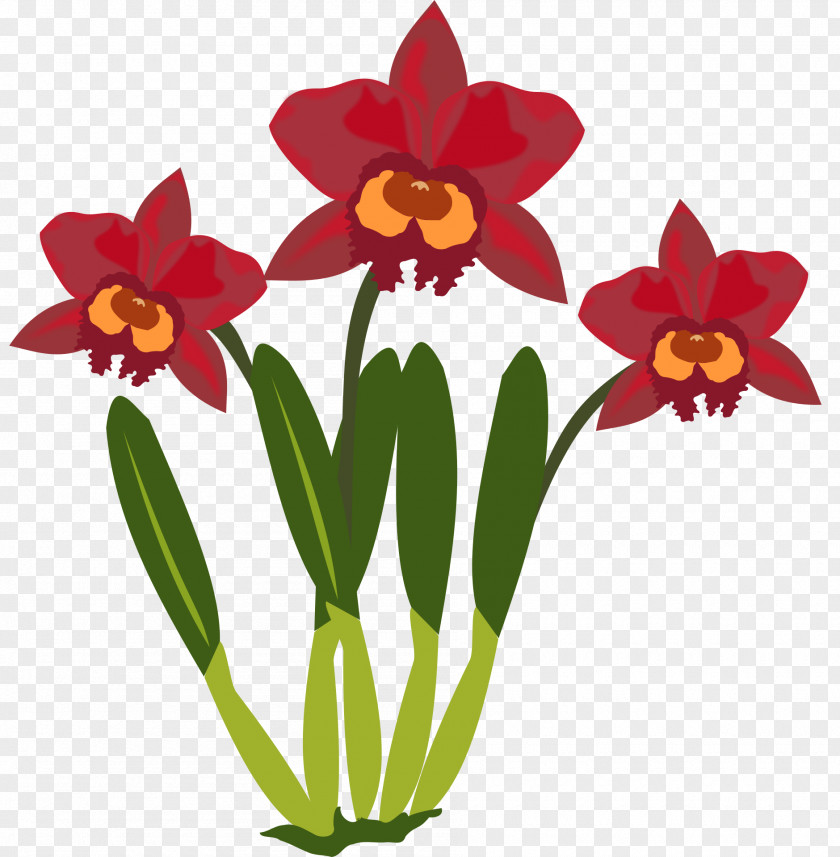Flower Orchids Clip Art Flowering Plant Christmas Orchid PNG