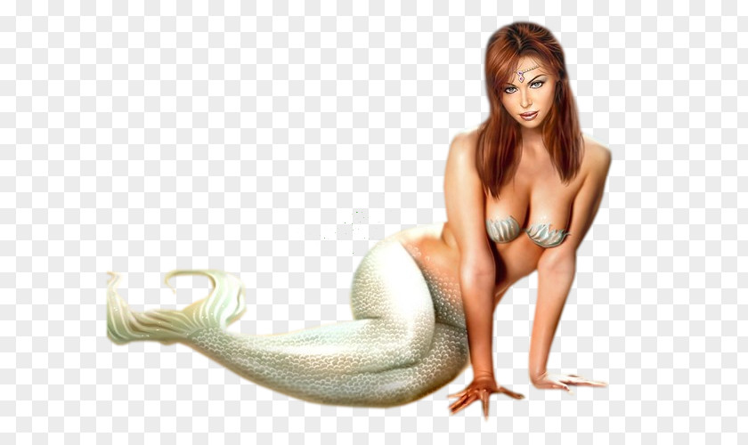 Mermaid Siren Rusalka Legendary Creature PNG