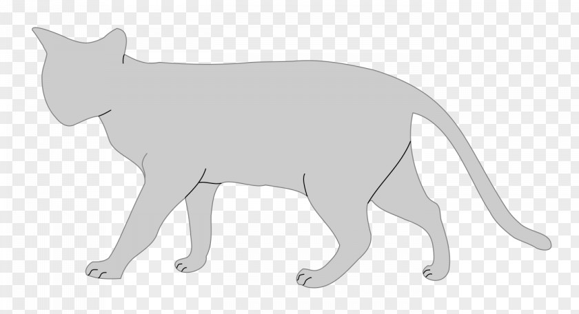 Persian Cat Anatomy Felidae Clip Art PNG