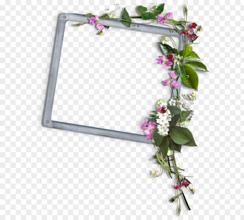 Picture Frames Floral Design Ya Tabtab Corinto PNG