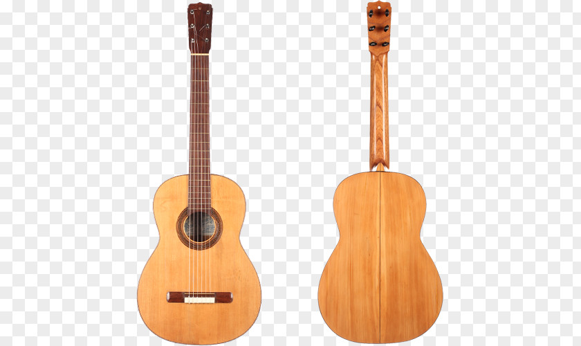 Acoustic Guitar Tiple Bass Ukulele Cuatro PNG