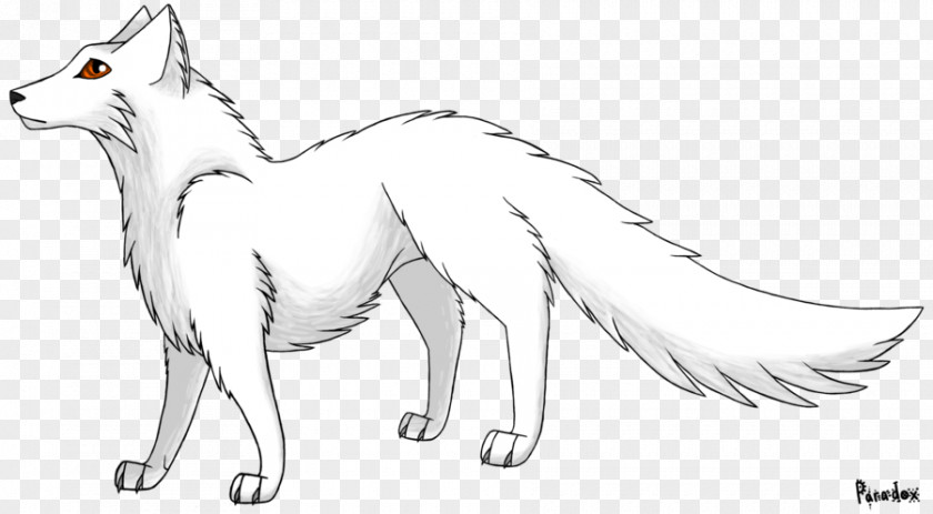 Arctic Fox Red Gray Wolf Line Art PNG