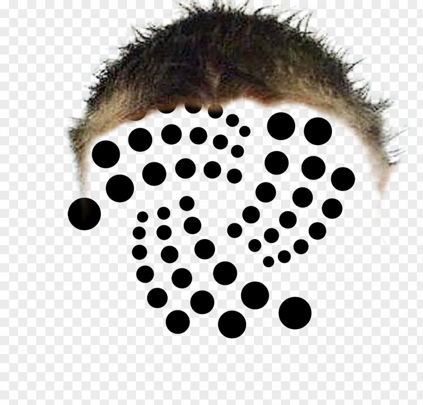 Bitcoin IOTA Cryptocurrency Litecoin Blockchain PNG