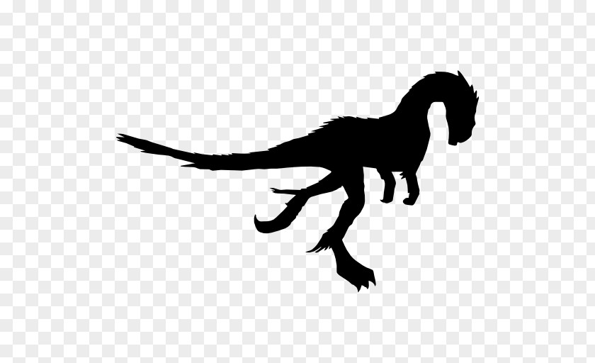 Dinosaur Vector Dilong Caudipteryx Gigantoraptor PNG
