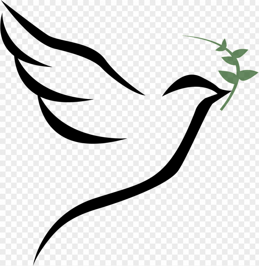 Holy Bible Columbidae Bird Doves As Symbols PNG