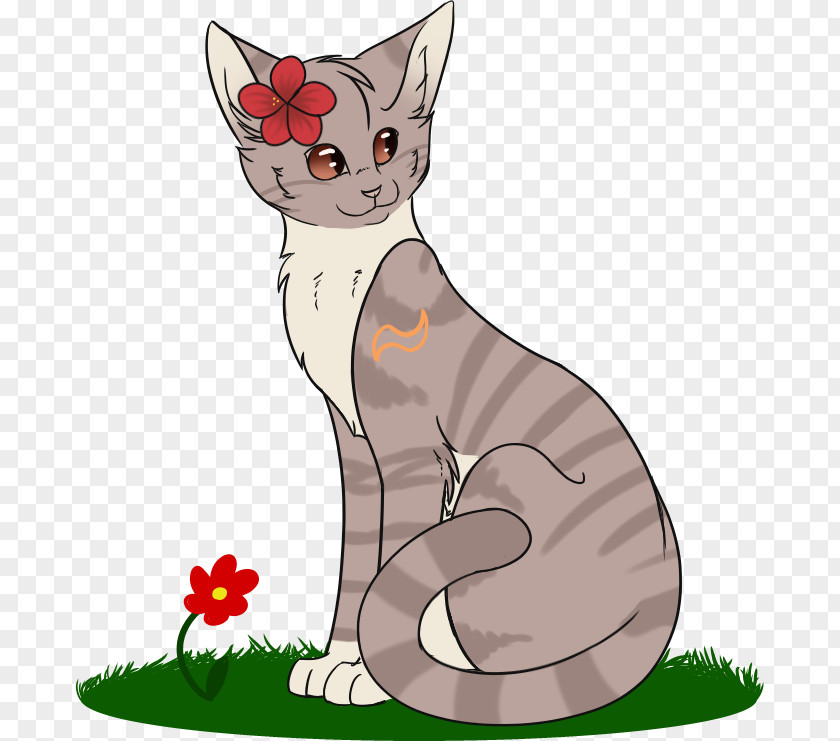 Kitten Whiskers Domestic Short-haired Cat Tabby PNG