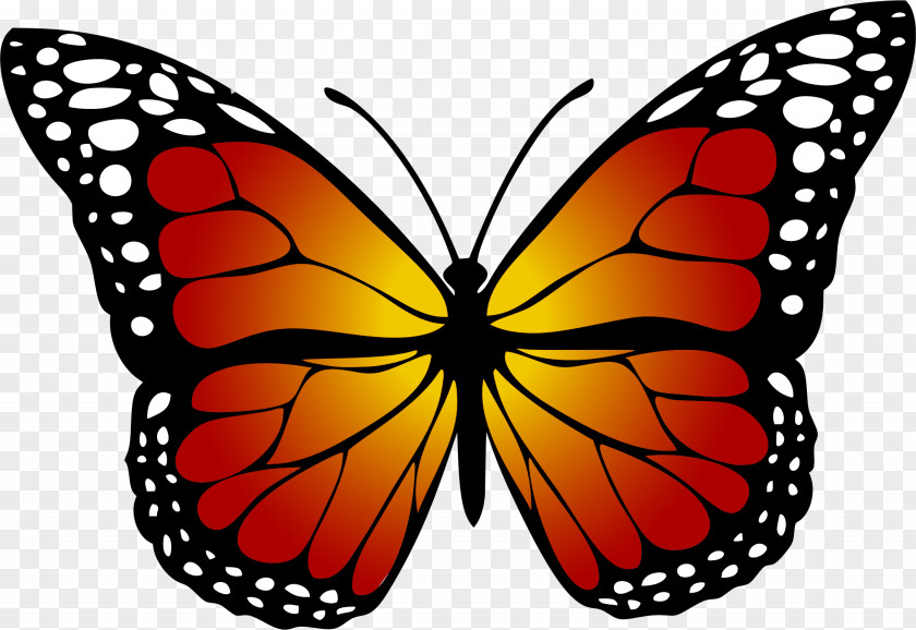 Red Butterfly Monarch Yellow Clip Art PNG