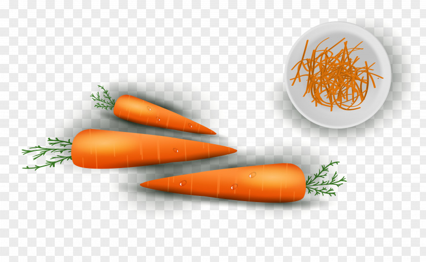 Vector Cartoon Vegetables Carrot Baby Vegetable Food PNG