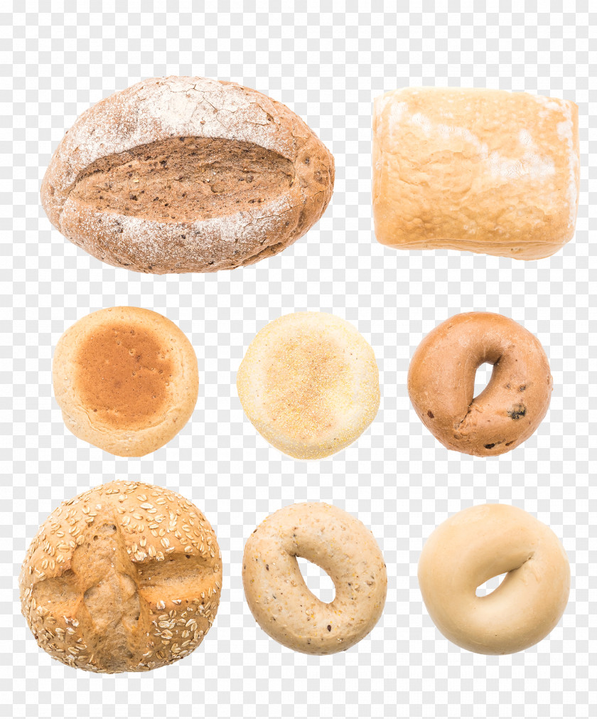 Beige And Bread Collection Bagel Cider Doughnut Bakery Challah PNG