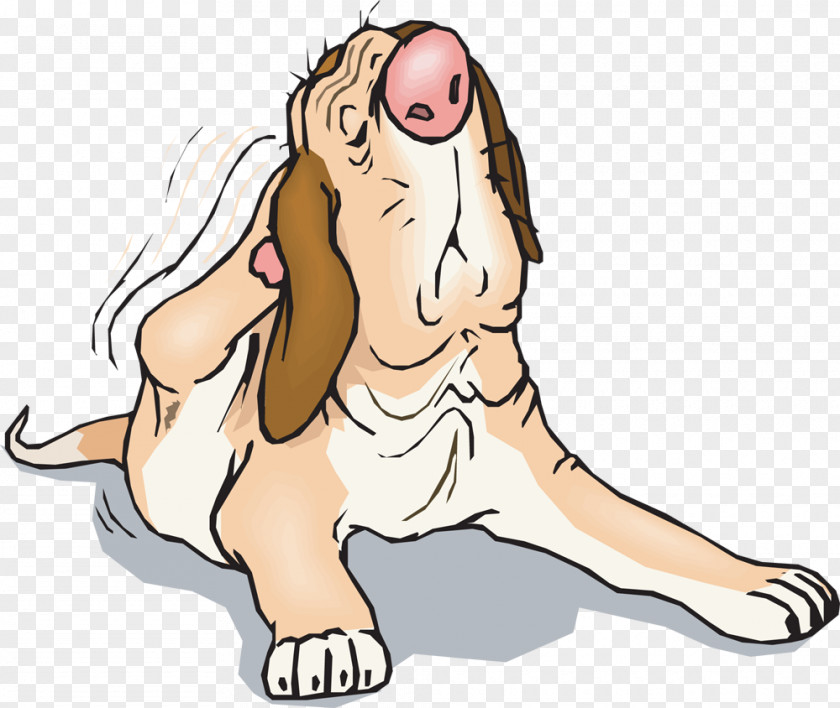 Excretory System Dog Flea Cat Pest Control Clip Art PNG