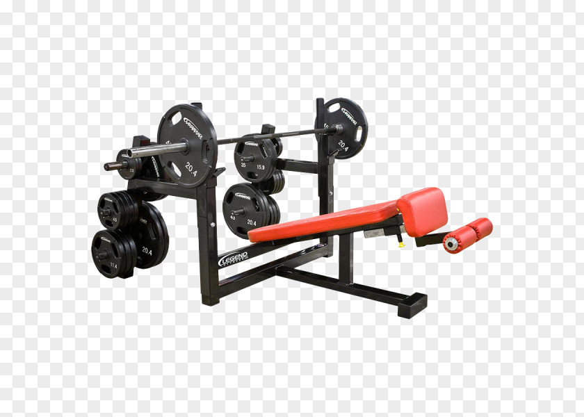 Gym Equipments Bench Press Physical Fitness Centre Weight Training PNG