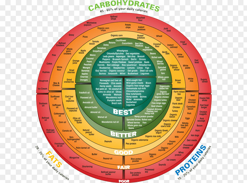 Highprotein Diet Food Carbohydrate Protein Health Meal PNG