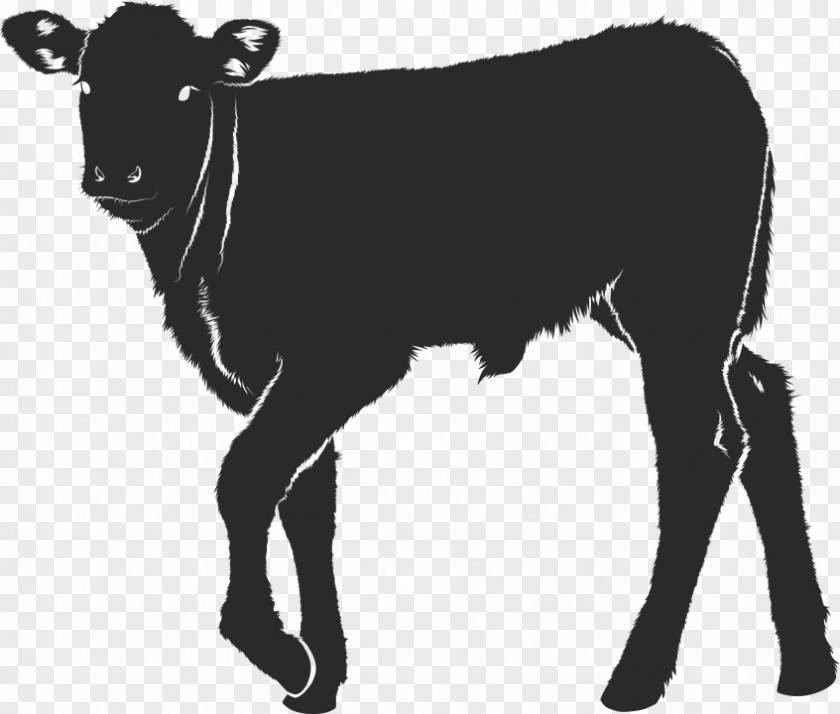 Silhouette Dairy Cattle Calf Ox PNG