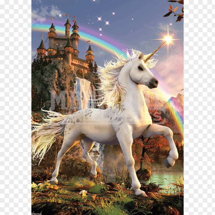 Unicorn Birthday Legendary Creature Pegasus Horse Mythology PNG