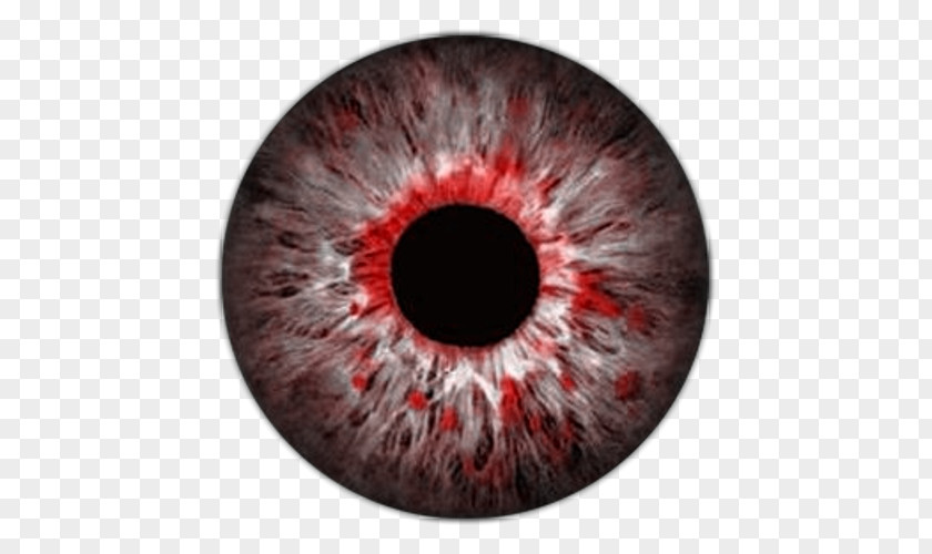 Vektor Eye Lens Color Iris PNG