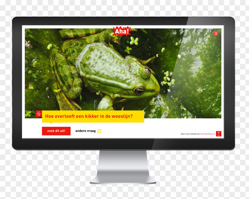 Amphibian Computer Monitors Display Advertising Multimedia PNG