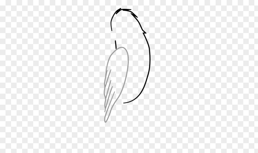 Birds Tree Drawing Line Art /m/02csf Clip PNG