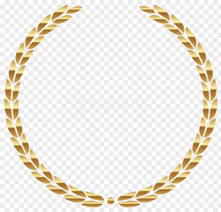Body Jewelry Chain Jewellery Necklace Circle PNG