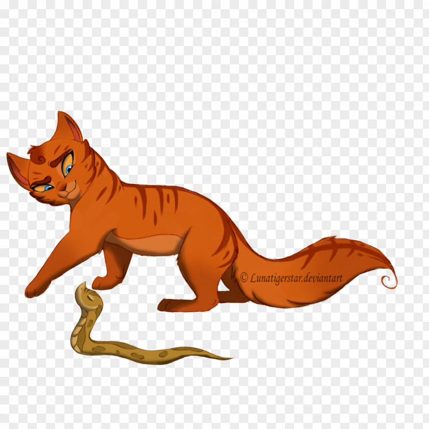 Cat Whiskers Red Fox Artist PNG