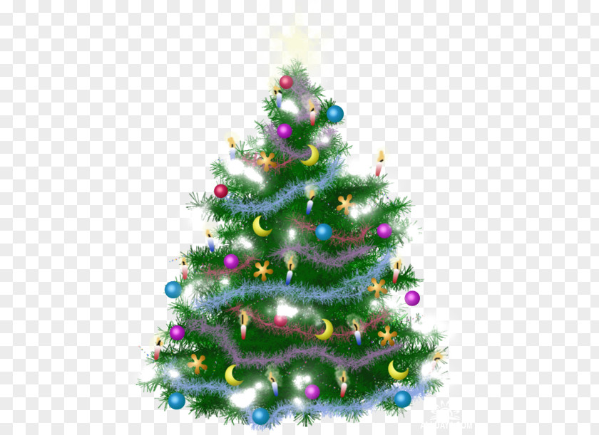 Christmas Tree Ornament Spruce Fir Pine PNG