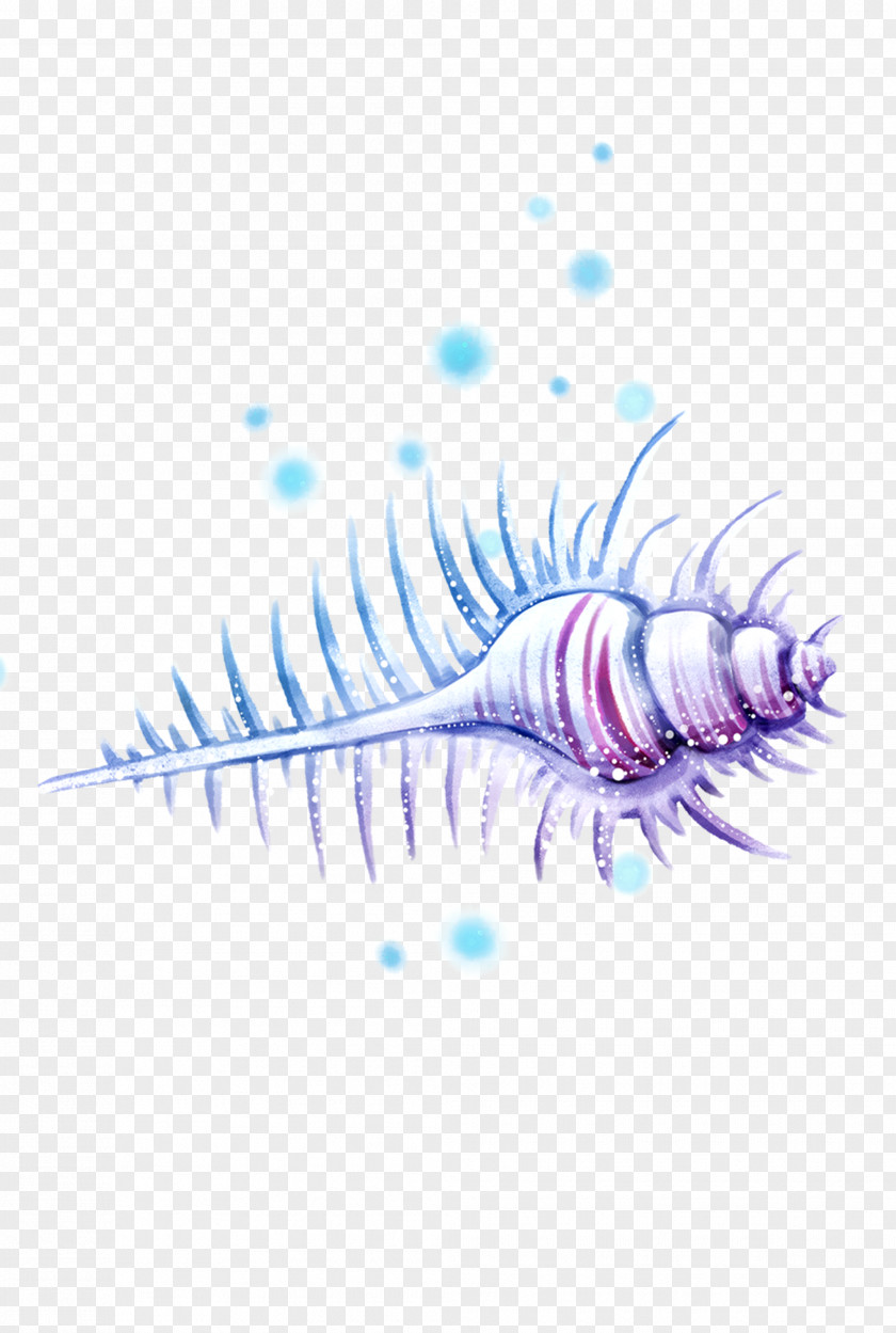 Conch Cartoon Graphic Design PNG